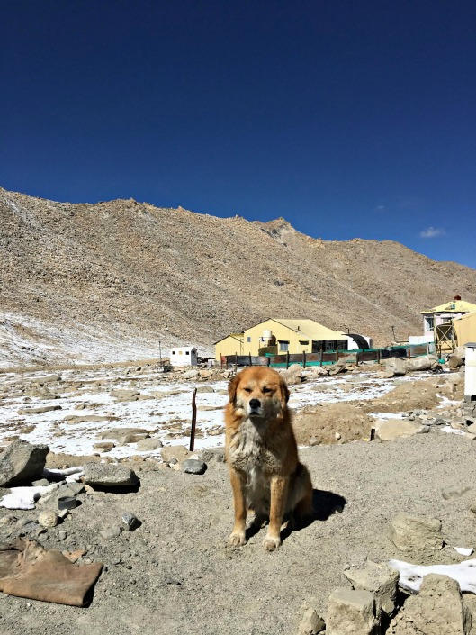 Leh-Ladakh